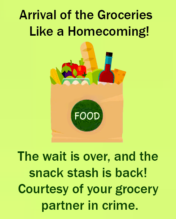 Step number 5 of eZpZe platform journey as a customer called "Arrival of the Groceries Like a Homecoming -  The wait is over and the snack stash is back ! Courtesy of your grocery partner in crime !